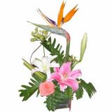 ƺʻٵ